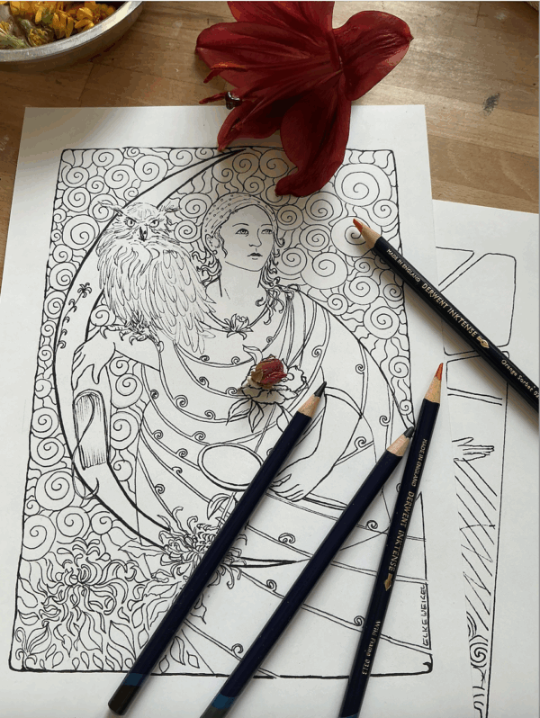 Eulenfrau – Ausmalbild